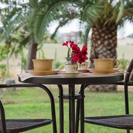 Villa Degli Oleandri Bnb 罗马 外观 照片
